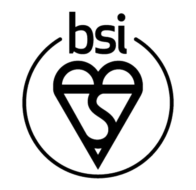 BSI ISO 9001