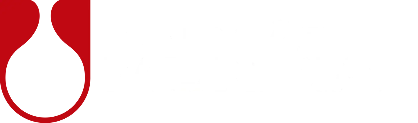 Fundição Mundial
